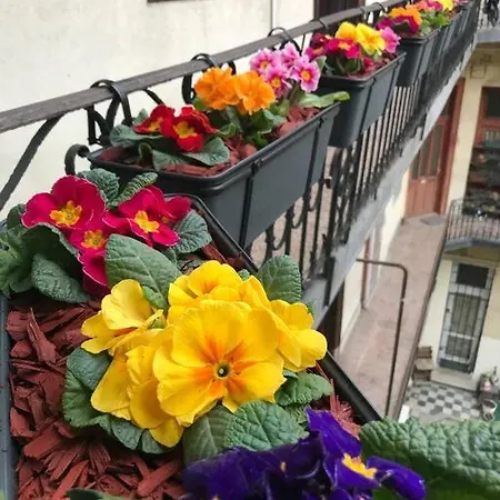 Delightful In The , We Would To Welcome To Our Large, Modern, And Quiet With Ac And High Speed Internet,walking Distance To The World Famous New York Cafe * Budapesta