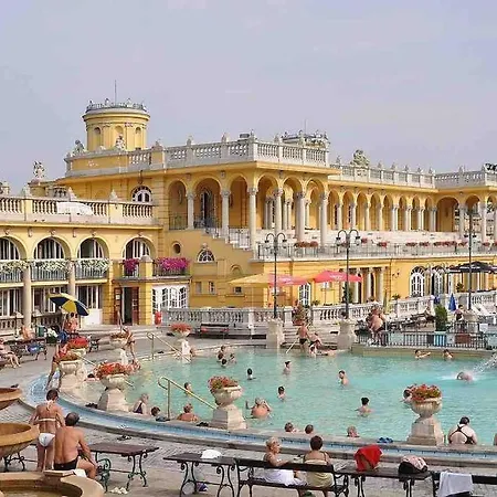 Delightful In The , We Would To Welcome To Our Large, Modern, And Quiet With Ac And High Speed Internet,walking Distance To The World Famous New York Cafe * Budapesta