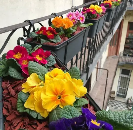 Delightful In The , We Would To Welcome To Our Large, Modern, And Quiet With Ac And High Speed Internet,walking Distance To The World-famous New York Cafe * 布达佩斯